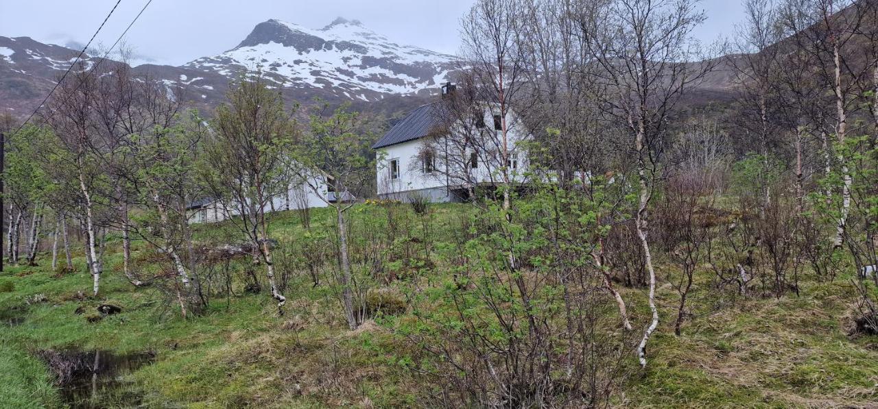 Pilan Lodge Lofoten Vestpollen Extérieur photo