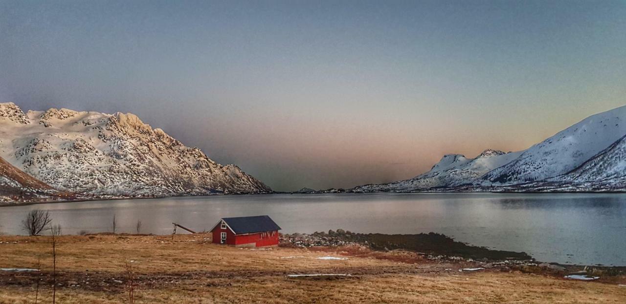 Pilan Lodge Lofoten Vestpollen Extérieur photo